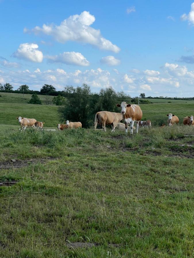 Radlerzimmer Mit Duschbad Und Minikueche In Neu Gaarz, Mitten In Der Natur Buitenkant foto